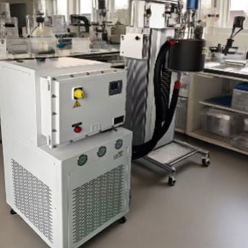 防爆型高溫循環器（控溫反應釜）